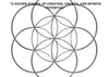 Seed of Life Sacred Geometry T Shirt | Spiritual Symbol Tee | Unisex White