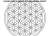 Flower of Life Sacred Geometry T-Shirt | Spiritual Symbol Tee | Unisex White
